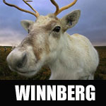 namnet winnberg